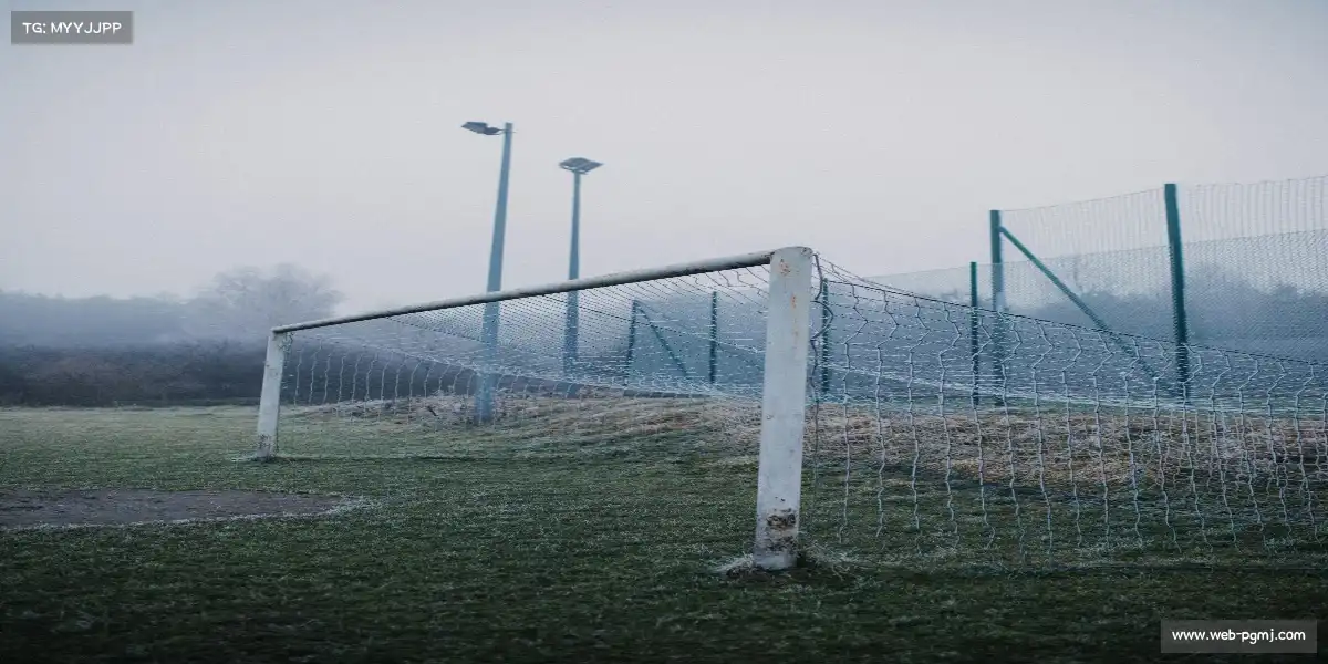 麻将胡了官网——🏂滑雪飞驰,雪浪追风!